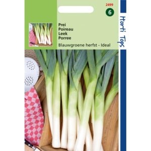 Horti Tops Prei Blauwgroene Herfst 12499 - Afbeelding 1