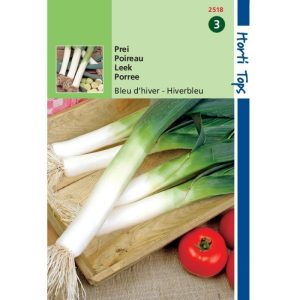 Horti Tops Prei Blauwgroene Winter, Sel. Hiverbleu 12518 - Afbeelding 1