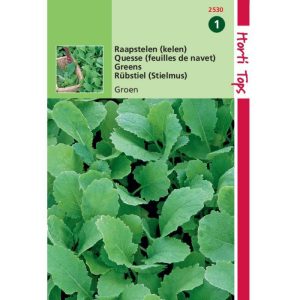 Horti Tops Raapstelen Groene 12530 - Afbeelding 1