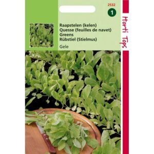 Horti Tops Raapstelen Gele 12532 - Afbeelding 1