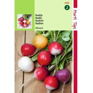 Horti Tops Radijs Ronde Gemengd 12560 - Afbeelding 1