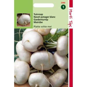 Horti Tops Rapen Platte Witte Mei 12590 - Afbeelding 1