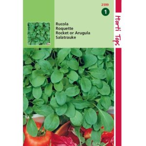 Horti Tops Rucola (Eruca sativa) 12599 - Afbeelding 1