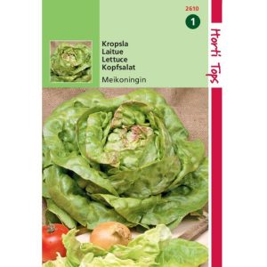 Horti Tops Kropsla Meikoningin 12610 - Afbeelding 1