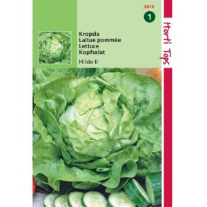 Horti Tops Kropsla Hilde, type Attractie 12615 - Afbeelding 1