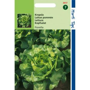 Horti Tops Kropsla Mafalda / Fiorella, Luisresistent 12617 - Afbeelding 1