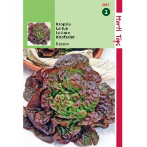 Horti Tops Kropsla Wonder Van Vier Jaargetijden 12639 - Afbeelding 1