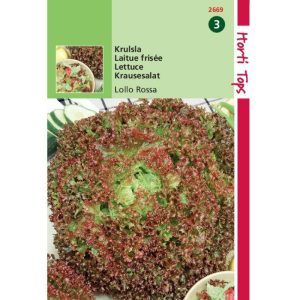 Horti Tops Krulsla Lollo Rossa 12669 - Afbeelding 1