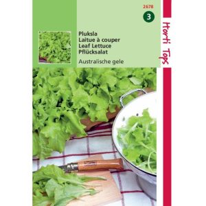 Horti Tops Pluksla Australische Gele 12678 - Afbeelding 1