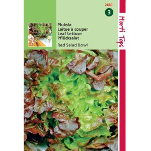 Horti Tops Pluksla, Red Salad Bowl, eikenbladsla 12680 - Afbeelding 1