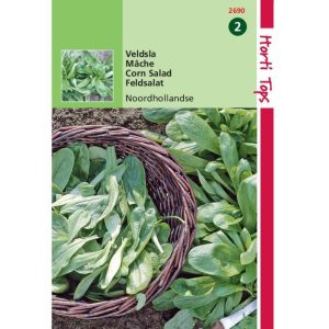Horti Tops Veldsla Grote Noordhollandse 12690 - Afbeelding 1
