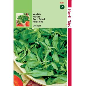 Horti Tops Veldsla Volhart 2 12692 - Afbeelding 1