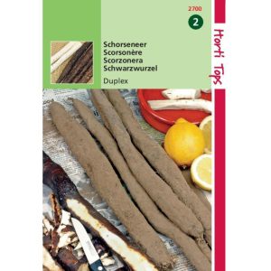 Horti Tops Schorseneren Duplex 12700 - Afbeelding 1