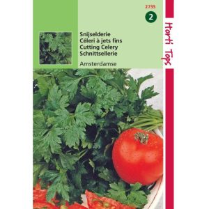 Horti Tops Snijselderie Amsterdamse Donkergroene 12735 - Afbeelding 1