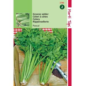 Horti Tops Selder Pascal, Groene Volpijp 12740 - Afbeelding 1