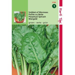 Horti Tops Snijbiet Groene Gewone 12750 - Afbeelding 1