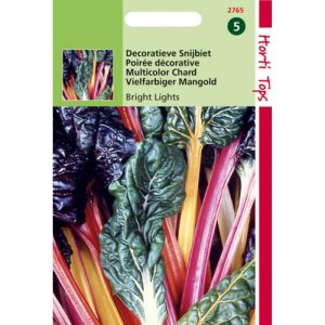 Horti Tops Snijbiet BrigHorti Tops LigHorti Tops Decoratieve snijbiet 12765 - Afbeelding 1