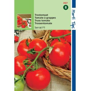 Horti Tops Trostomaten Serrat F1 12827 - Afbeelding 1