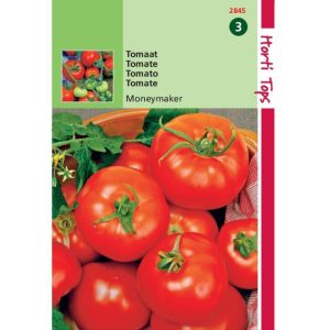 Horti Tops Tomaten Moneymaker 12845 - Afbeelding 1