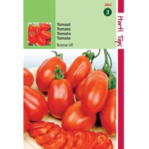 Horti Tops Tomaten Roma VF 12852 - Afbeelding 1