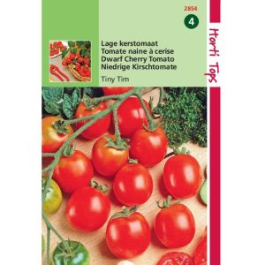 Horti Tops Kerstomaat Tiny Tim 12854 - Afbeelding 1
