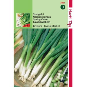 Horti Tops Stengelui Kyoto Market (vh Ishikura) 12883 - Afbeelding 1