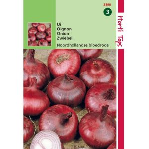 Horti Tops Uien Noordhollandse Bloedrode 12890 - Afbeelding 1