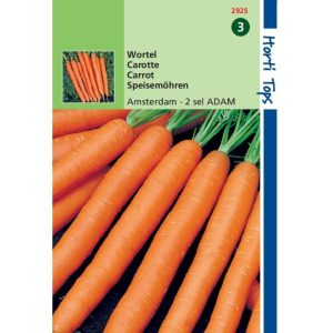Horti Tops Wortelen Amsterdamse Bak 2 - Adam 12925 - Afbeelding 1