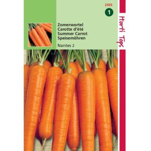 Horti Tops Wortelen Nantes - 2 Halflange 12935 - Afbeelding 1