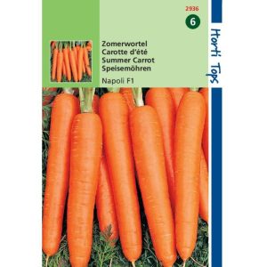 Horti Tops Wortelen Napoli F1 12936 - Afbeelding 1