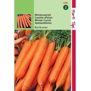Horti Tops Wortelen Berlikumer 2 12940 - Afbeelding 1