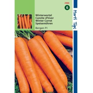 Horti Tops Wortelen Bergen F1 12944 - Afbeelding 1