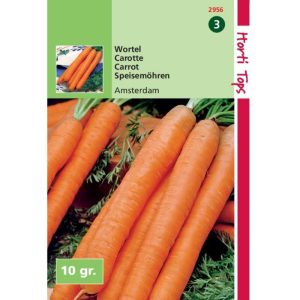 Horti Tops Wortelen Amsterdamse Bak 2 - 10 Gram 12956 - Afbeelding 1