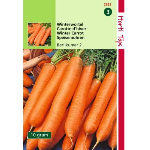 Horti Tops Winterwortelen Berlikumer 2 - 10 Gram 12958 - Afbeelding 1