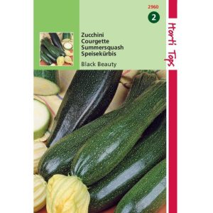 Horti Tops Courgette Black Beauty 12960 - Afbeelding 1