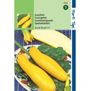 Horti Tops Courgette Gold Rush F1 12963 - Afbeelding 1