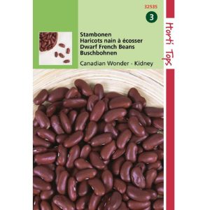 Horti Tops Stambonen Canadian Wonder (Kidney), 15g 132535 - Afbeelding 1