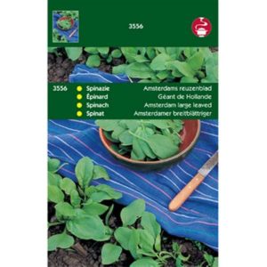 Horti Tops Spinazie Amsterdams Reuzenblad scherpzaad, 100g 13556 - Afbeelding 1