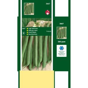 Horti Tops Stamslabonen Prelude, 250g 13667 - Afbeelding 1