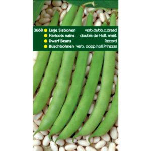Horti Tops Stamslabonen Record, 250g 13668 - Afbeelding 1