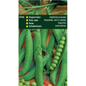 Doperwten Marktveroveraar, 250g 13746 - Afbeelding 1