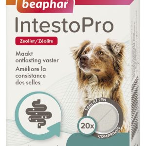 Beaphar Intestopro tabletten hond vanaf 20 kg - Afbeelding 1