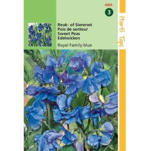 Horti Tops Lathyrus, Reuk- of Siererwt Royal Family Blauw 14425 - Afbeelding 1