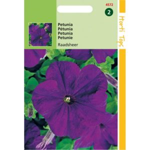 Horti Tops Petunia Raadsheer 14572 - Afbeelding 1