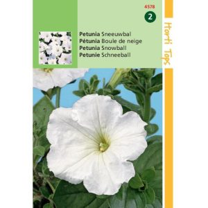 Horti Tops Petunia Sneeuwbal 14578 - Afbeelding 1