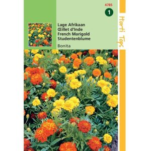 Horti Tops Tagetes, lage Afrikaan Bonita gemengd 14785 - Afbeelding 1