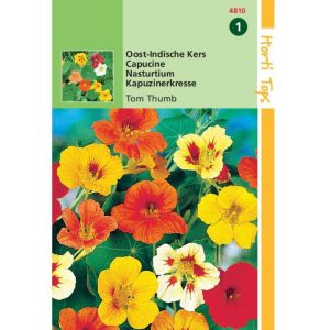 Horti Tops Tropaeolum, Oost-Indische Kers Tom Thumb 14810 - Afbeelding 1