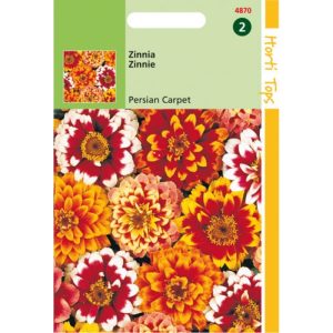 Horti Tops Zinnia Persian Carpet gemengd 14870 - Afbeelding 1