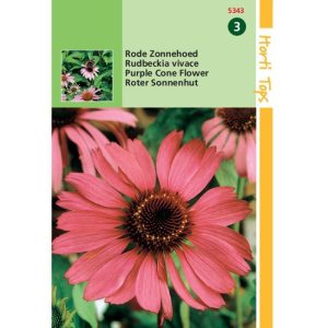 Horti Tops Echinacea, Rode Zonnehoed 15343 - Afbeelding 1