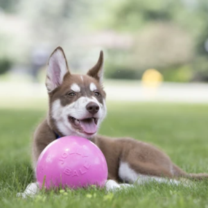 Jolly Ball Bounce-n Play Roze 15cm - Afbeelding 2